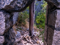 Kotor